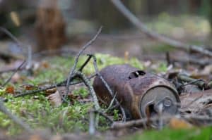 Abfall im Wald, verrostete Blechdose