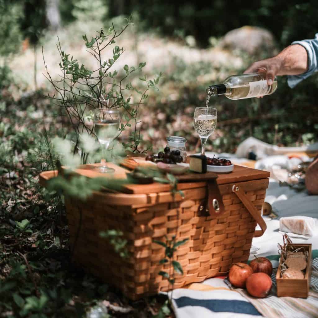 Im Wald mit Picknick-Korb, Früchten, Pilzen und einem Wein