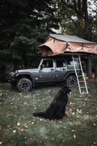Dachzelt Jeep SUV Hund